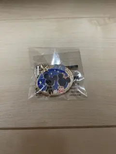 アブーズバザールの景品 ミッキーとミニーのピンバッジ