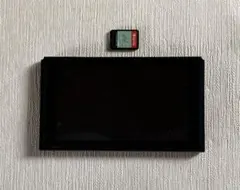 ニンテンドースイッチ 本体 ソフト付き