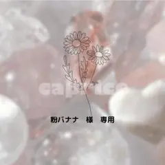 粉バナナ　様　専用