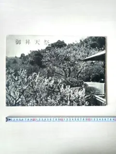 2025年最新】岡田茂吉の人気アイテム - メルカリ