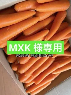 MXK 様専用です。