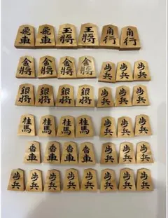 ポケット付き御城印帳 家紋 大一大万大吉 雲龍和紙包み - メルカリ