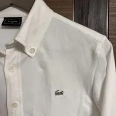 LACOSTE ホワイト ボタンダウン長袖シャツ 4 ストレッチニット素材