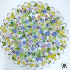 押し花素材 押し花