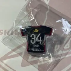 Item thumbnail for item 4140cfbb-af18-4f3a-be7e-a70eace3b18b