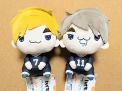 ハイキュー【ツム】【サム】もちぴこぬいぐるみ