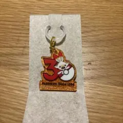 ポケモン 30周年 ヒバニー アクリルキーホルダー
