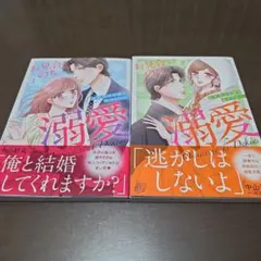 お見合いのち、溺愛～副社長は花嫁を逃がさない～1＆2