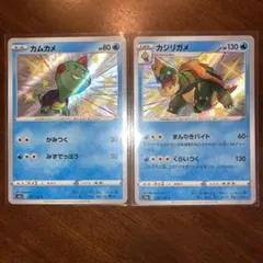ポケモンカード 色違い　カムカメ、カジリガメのサムネイル