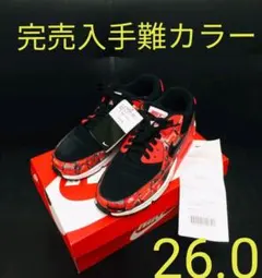 【新品未使用】ナイキ × アトモス エアマックス 90 プリント 26.0㎝