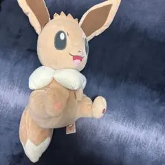 一番くじ ポケモン B賞 だっこしてイーブイぬいぐるみ - メルカリ