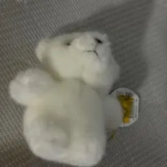 シロクマ ぬいぐるみ マスコット
