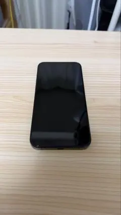iPhone 15 pro max 256GB SIMフリー 本体