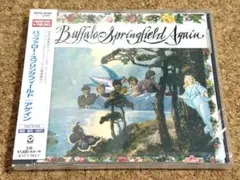 2025年最新】バッファロースプリングの人気アイテム - メルカリ