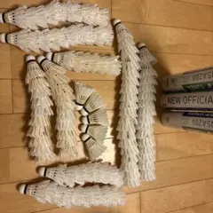 Item thumbnail for item 5d8e321d-fcaf-40db-b118-08459fb45f35