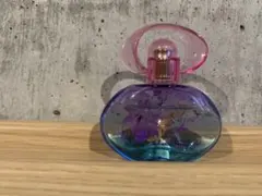 フェラガモ　インカントシャイン