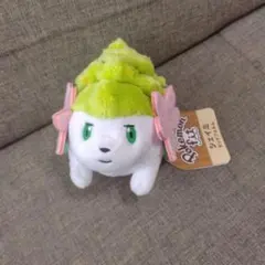ポケモン シェイミ ボールチェーン付 ぬいぐるみ 2008 タグ付き - メルカリ