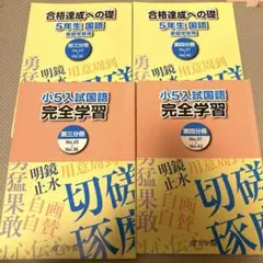 2024年度浜学園 小5国語&浜学園小5記述力錬成テスト 浜学園 小5 第1回〜第11回 国語 記述力錬成テスト 2024年2月〜12月