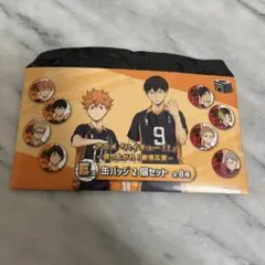 アニメ ハイキュー!! 缶バッジ 2個セット