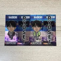 海沼流星 44RAIDERS千社札セット