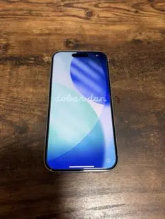 iPhone 15 Pro 256GB 本体のみUS版 シャッター音無し - メルカリ