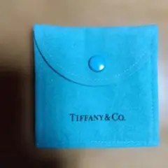 Tiffany & Co. ターコイズ ポーチ（小銭入れ）‼️
