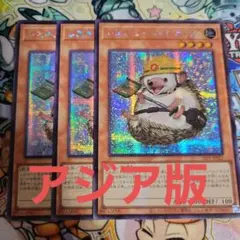 遊戯王　レスキューヘッジホッグ　アジア　シークレット　　シク　3枚