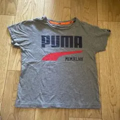 プーマ　Tシャツ　130