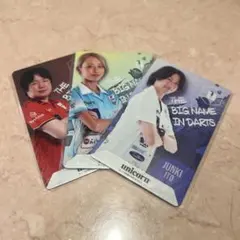 【新品未使用品】unicorn DARTSLIVEカード JAPAN 2024 unicorn DARTSLIVEカード 新品未使用品】unicorn DARTSLIVE