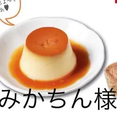 みかちん様専用