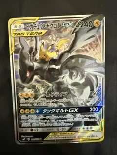 か*こ様 ピカチュウ＆ゼクロムSA