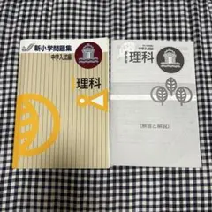 Item thumbnail for item 31f7e910-fcbd-4706-b25c-3fdf5dea071e