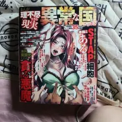 コアマガジン 異常な国 35巻