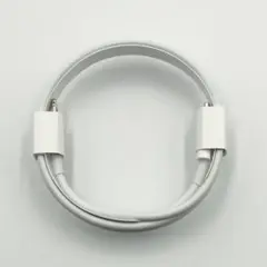 Apple純正 Lightning-USB typeC ケーブル A2561