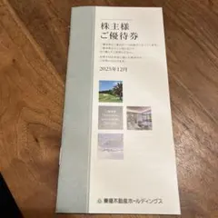 東急不動産ホールディングス 株主優待券　1,000株以上