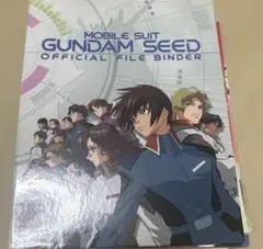 機動戦士ガンダムSEED DESTINY シン・アスカ 等身大ポスター - メルカリ