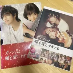 カノジョは嘘を愛しすぎてる　佐藤健　セット