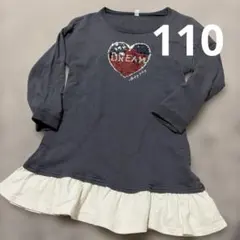 ワンピース110