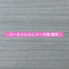 ぷーちゃんセレナーデ様 リクエスト 2点 まとめ商品