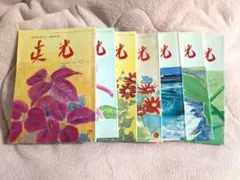 崇教真光　真光誌　200〜204.206.207号　7冊セット 崇教真光 真光誌 200〜204.206.207号 7冊セット 崇教真光