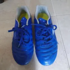 Item thumbnail for item 724feb99-446c-4d1d-98c5-b498bd0bbcf0