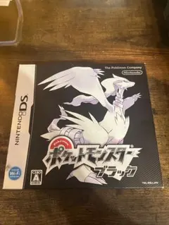 DS ポケットモンスター ブラック 外箱付き
