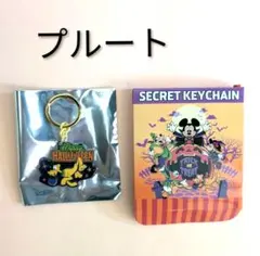 ディズニーストア　シークレットキーチェーン　ハロウィン　☆プルート