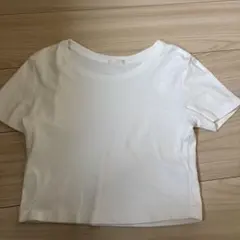 Item thumbnail for item 84dedbbc-23c2-4289-aa37-6c1c881919cd