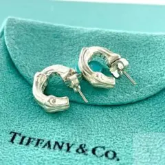 2026年最新】tiffany バンブー ピアスの人気アイテム - メルカリ