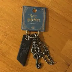 USJ ハリポタ デスイーター　キーチェーン 死喰い人 ハリーポッター ユニバ