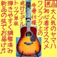 【牛骨☆エレアコ】Ibanez☆アイバニーズ【弾き易く調整☆新品の弦】 牛骨☆エレアコ】Ibanez☆アイバニーズ【弾き易く調整☆新品の弦