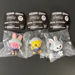 SKZOO サウナ リービット トゥエッキ ポガリ