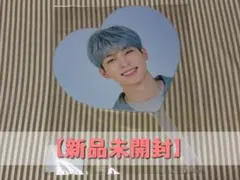 SEVENTEEN ウォヌ CARAT LAND 2020 うちわ