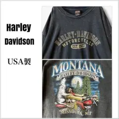 y2426 ハーレーダヴィッドソン　USA製 Tシャツ　両面プリント　半袖　黒